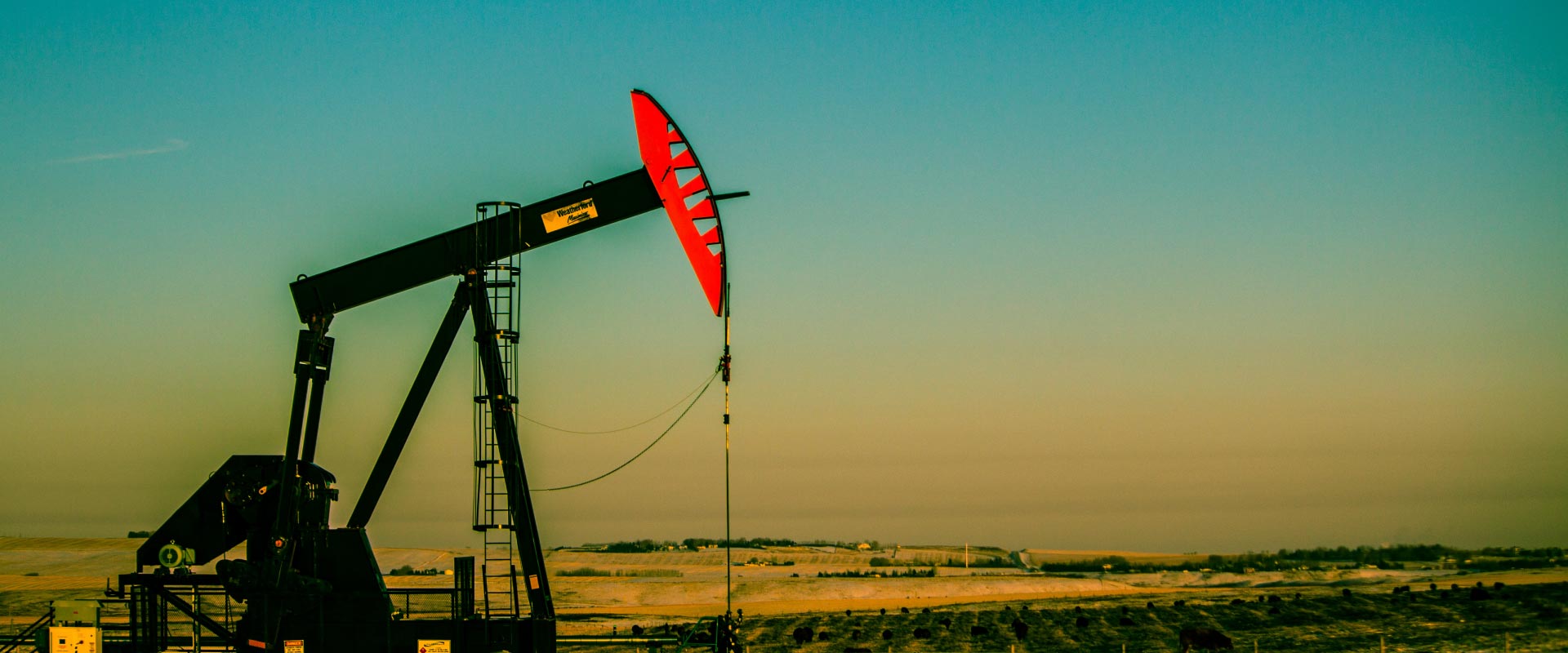 AHora Servicios Patagónicos